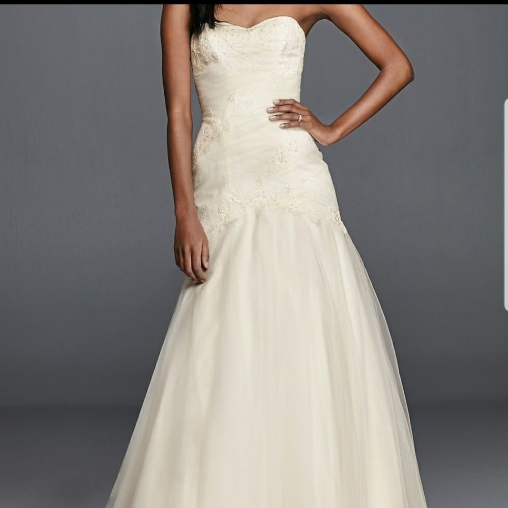 Wedding gown Brand New